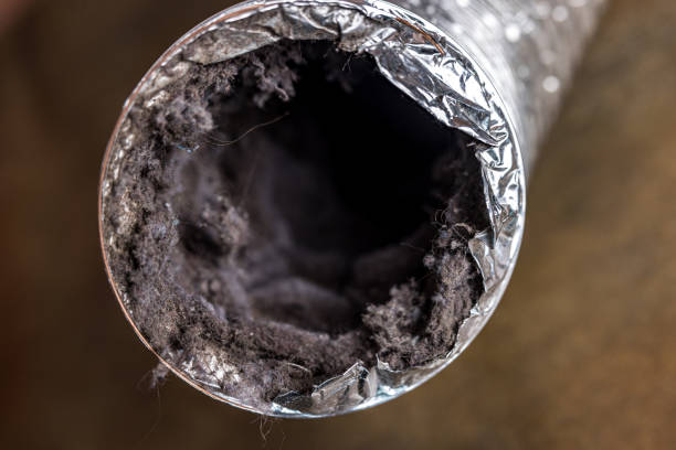 Best Local Air Duct Cleaning Services  in Siesta Shores, TX